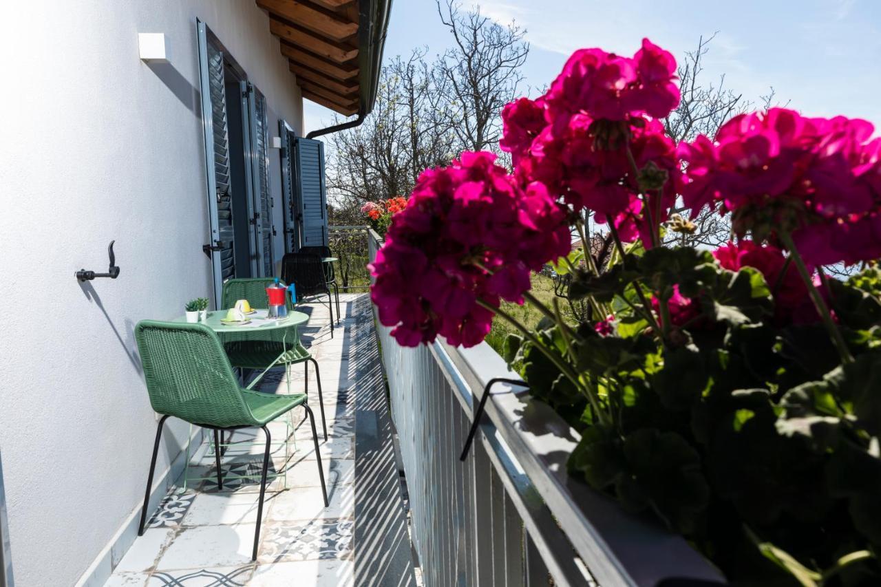 Bed and Breakfast Plein Sud Agerola San Lazzaro di Agerola Zewnętrze zdjęcie